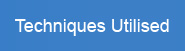 Therapy Techniques Utilised nav button